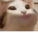 大家一起嗨起來 嗨起來 嗨起來