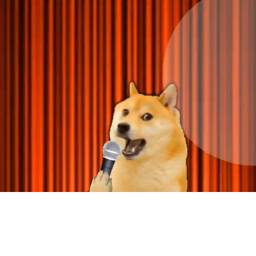 The doge show’s show!