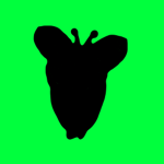 Gnarp Gnaption
