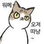 cindy_jeong과 함께 놀자!
