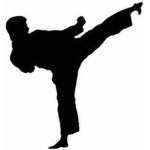 The karate fan club