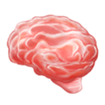 Info Brain Army