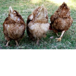 This is my group lolololol