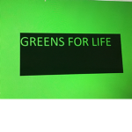 The official green gang