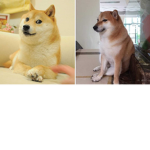 El mundo de max