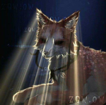 Les loup / louve / louveteaux