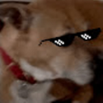 Dogfi YT CLAN
