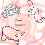 TeamAbbaok