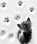 antí. Group Thumbnail