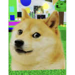 Find the doges obby creator Group!