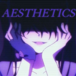 Aesthetic's Store