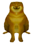 The Sly Dog Nation