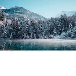 snowy vibez