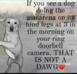 Hiiiijennaaaa