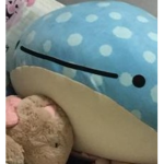 Desu Land