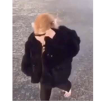 the monkey official