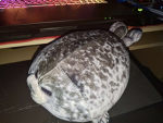Temu Seal plush