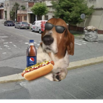 Barrio de Doggo