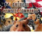 American Hamsters