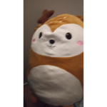 Cute Dogs And Cats :D