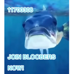 Moneyygroup
