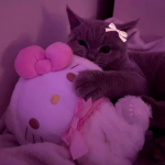 'luv.kitty