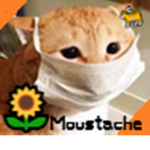 Moustache's Fan Group