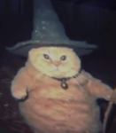 CAT-ENFORCERS