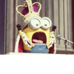 King Bob Squad
