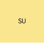 Sun University