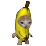 해삐해삐해삐
