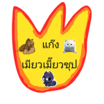 แก๊งเมียวเมี๊ยวซุป