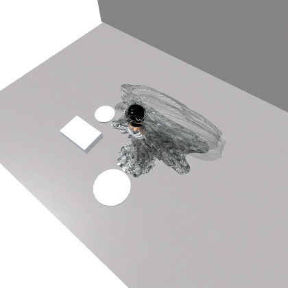 Model