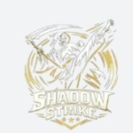 Shadow Strike Karate!