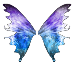 Fairy