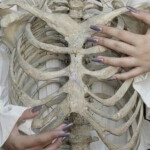  𝄃𝄃𝄂𝄂𝄀𝄁𝄃𝄂𝄂𝄃