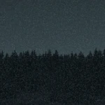Sliver's Silvers Group Thumbnail
