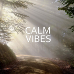vibe company for life