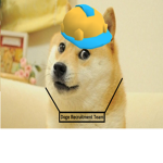 _>Doge Recruitment Team<_