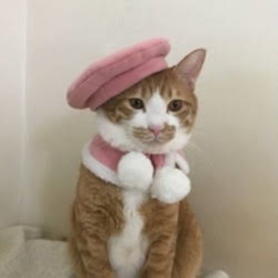 ⋆ ˚｡⋆୨୧⋆ ˚｡⋆