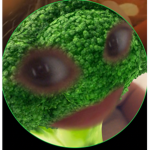 vgdftsyuyg