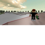 pro skateboarder team