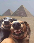 Lili and Mimy