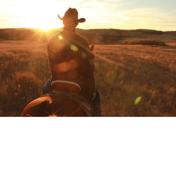 THE WILD WEST 2