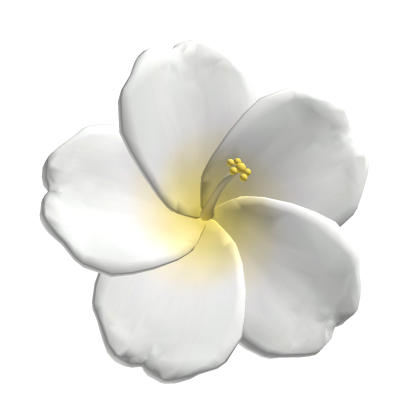 White Summer Hibiscus