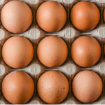 The Egg State