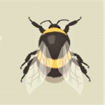 BumbleBee <3