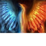 Phoenix Forever