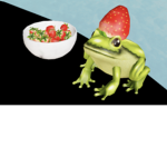 ~*Dove's Modeling*~