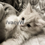 vacy